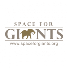 At Space for Giants, we are working everyday to protect Africa's remaining natural ecosystem