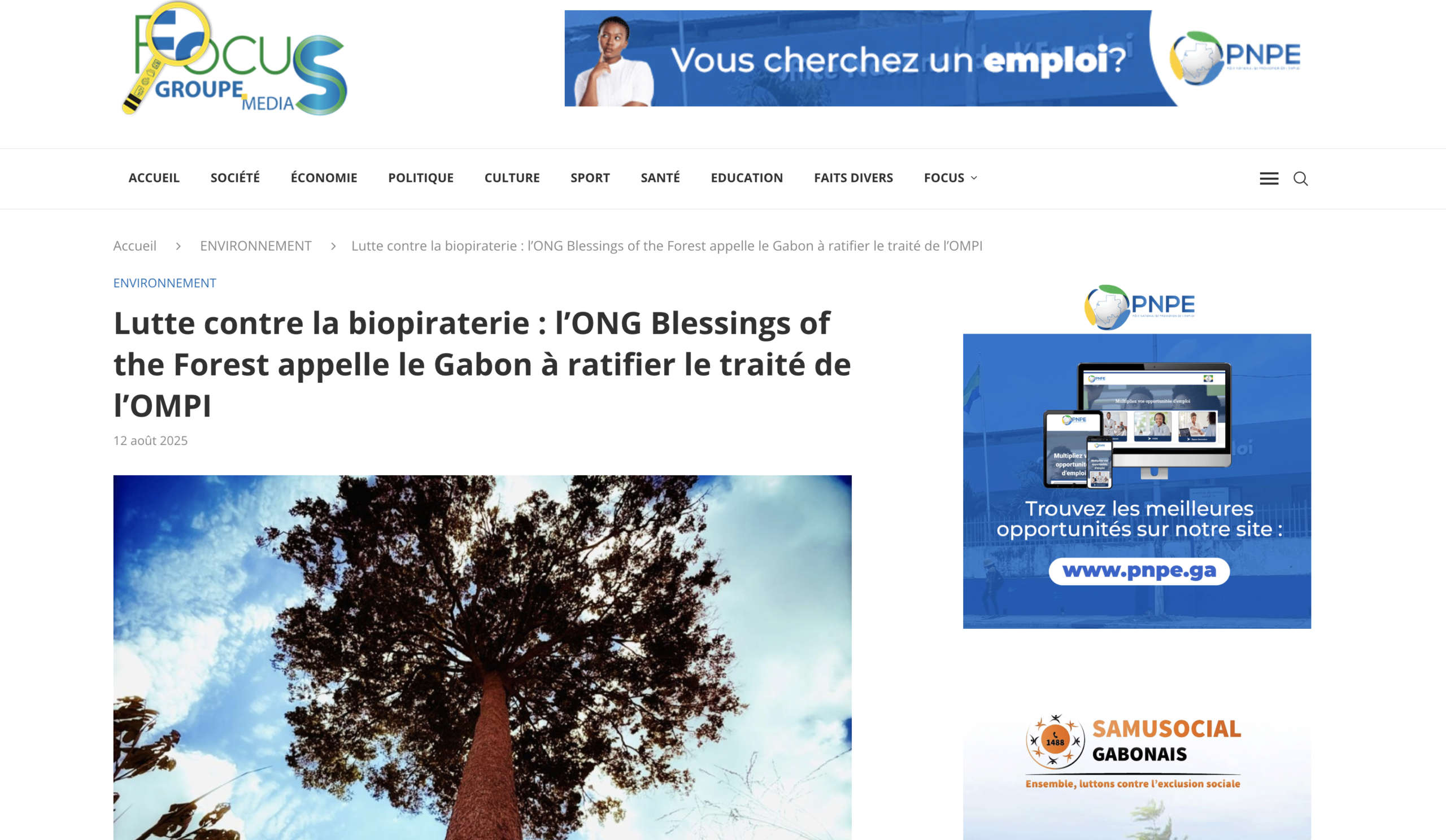 Lutte contre la biopiraterie : l’ONG Blessings of the Forest appelle le Gabon à ratifier le traité de l’OMPI