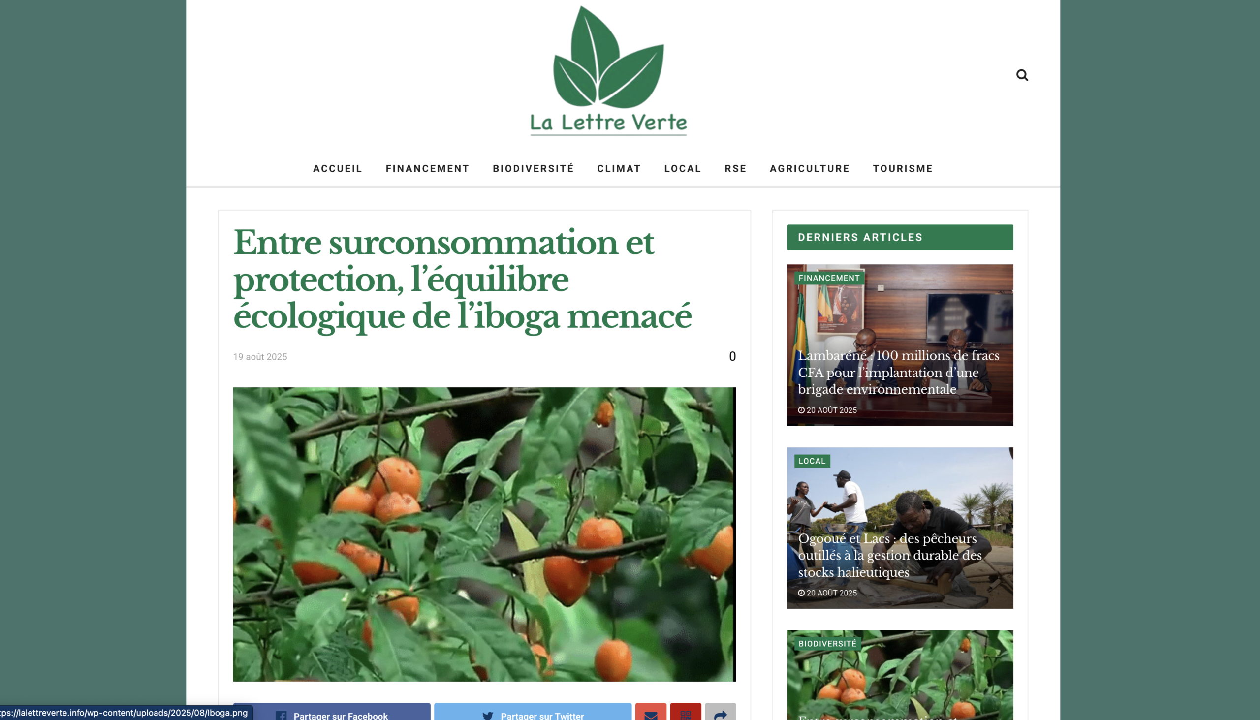 Balancing Consumption and Conservation: The Ecological Sustainability of Iboga-Blessings Of The Forest