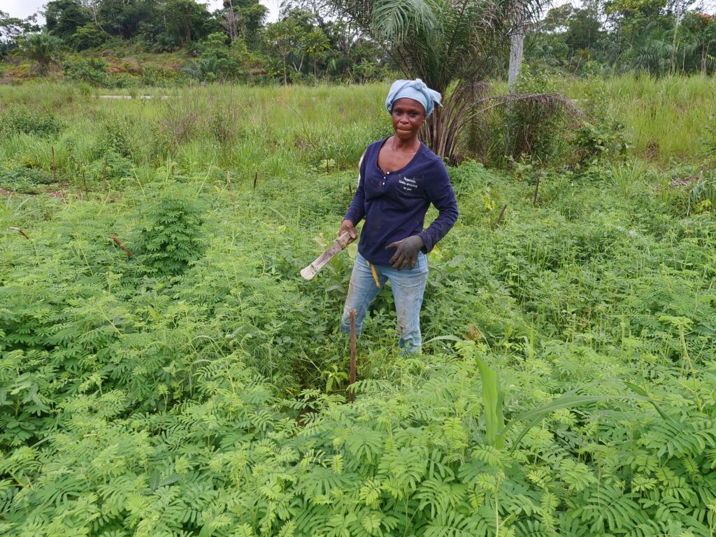 Aïcha-membre actif :Diambu Ghamangu:Mamiènguè:26 11 2024