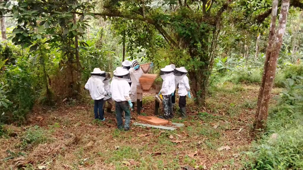 Apiculteurs 1 :Réné Mabondo:Muyiku:19 02 2022