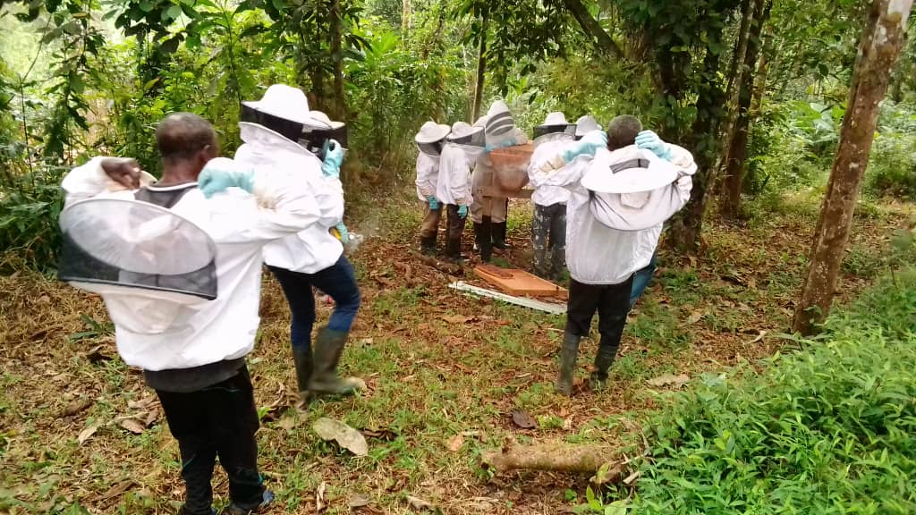 Apiculteurs 2 :Réné Mabondo:Muyiku:19 02 2022