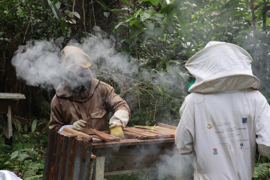 Apiculteurs entretient des ruches:A2E Ebyeng:22 12 2021