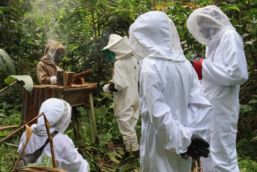 Apiculteurs visite de ruches:A2E Ebyeng:22 12 2021