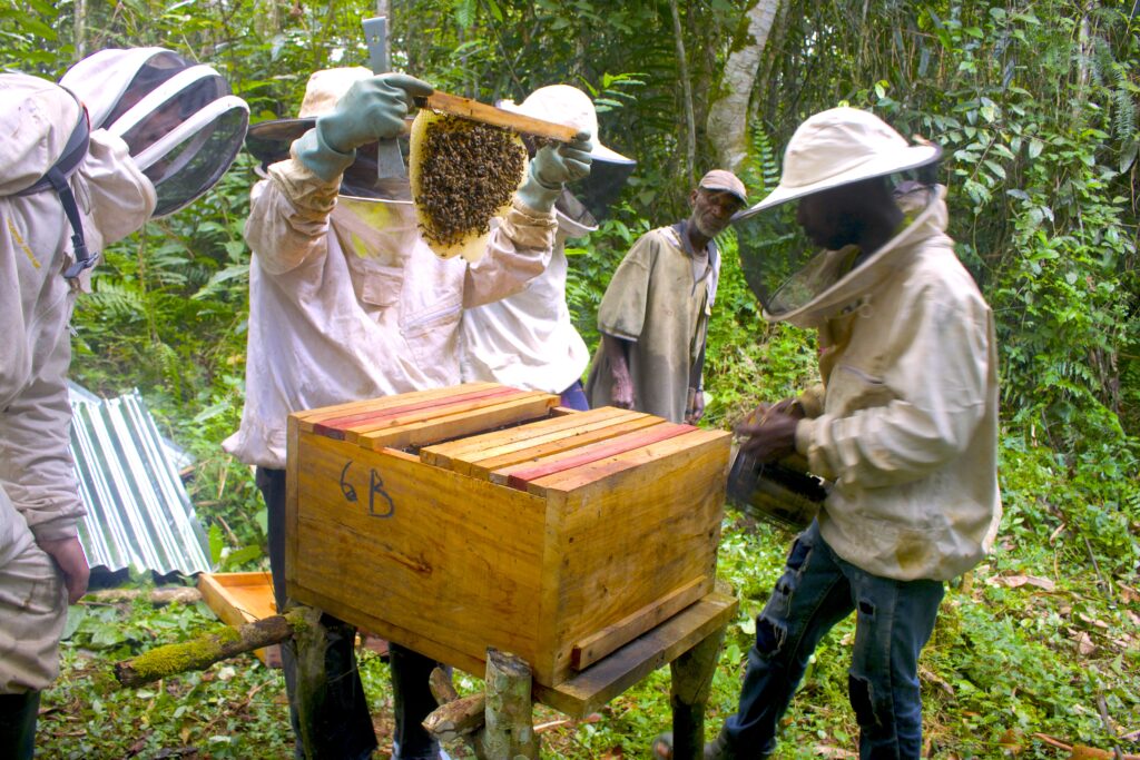 Apiculteurs:Muyiku-Réné Mabondo:23 05 2024 - copie
