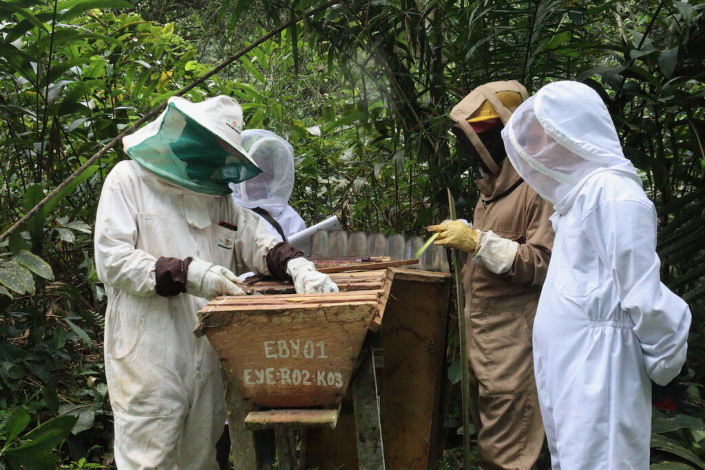 Apiculteurs:entretient des ruches:A2E Ebyeng:22 12 2021:.jpeg