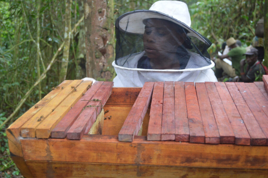 Apicultrice 1 : Opango Motsi : St Martin : 02 06 2023