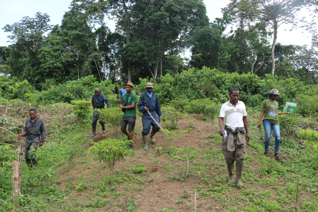 Au champ 1 : Opango Motsi : St Martin : 25 01 2023