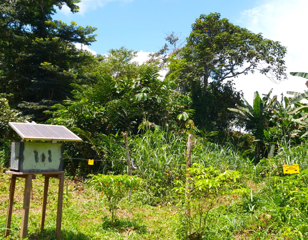 Barriere electrique 1:Ebyeng-Edzouameniene:22 09 2024