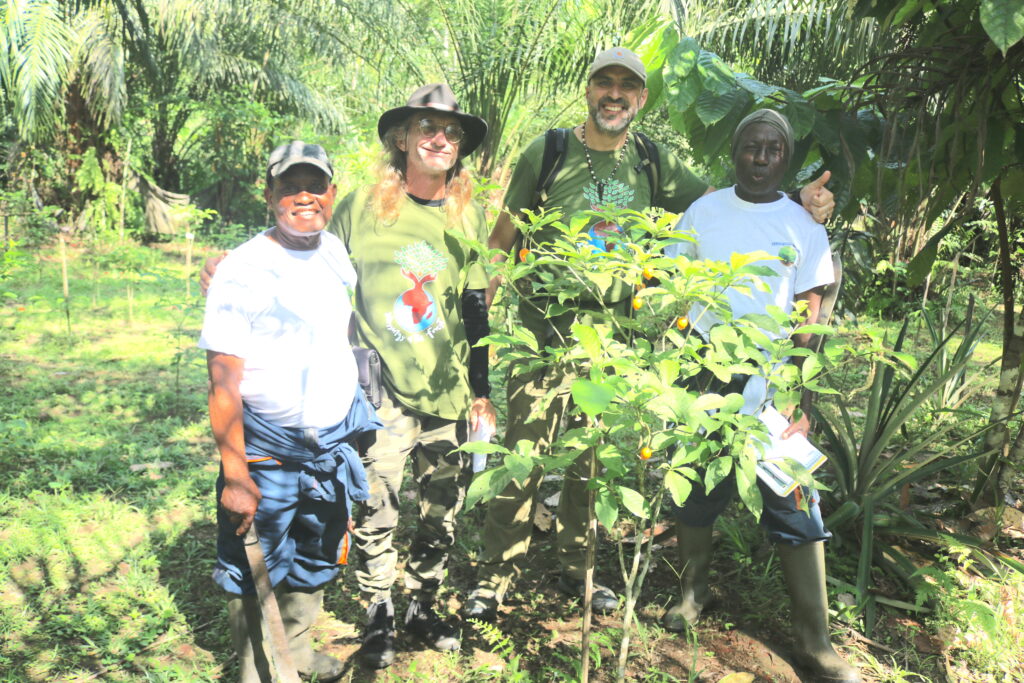 Botf:Diambu Ghamangu:plantation iboga:Mamiengue:29 01 2023