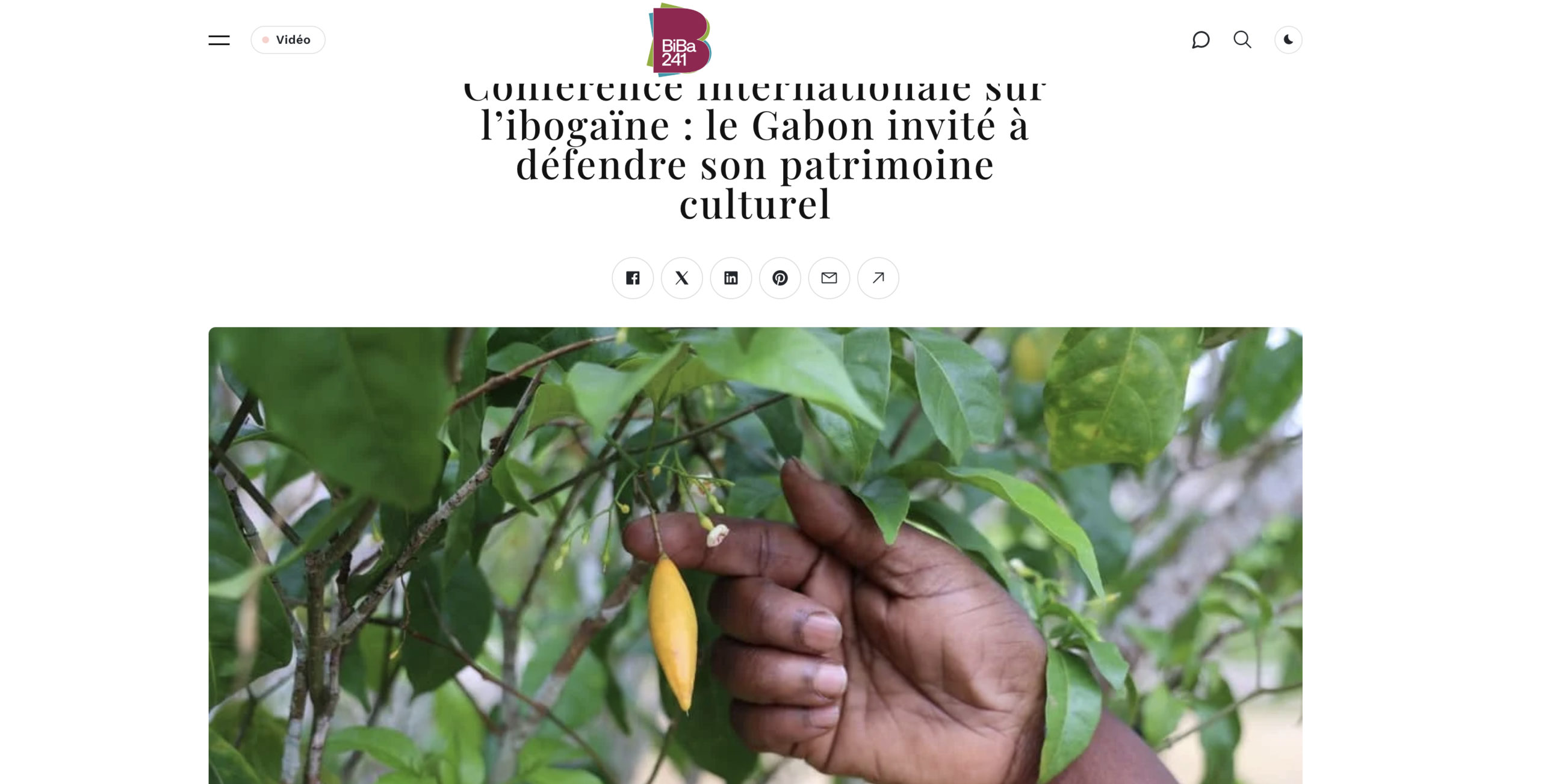 International Conference on Ibogaine: Gabon Invited to Defend Its Cultural Heritage blessings of the forest