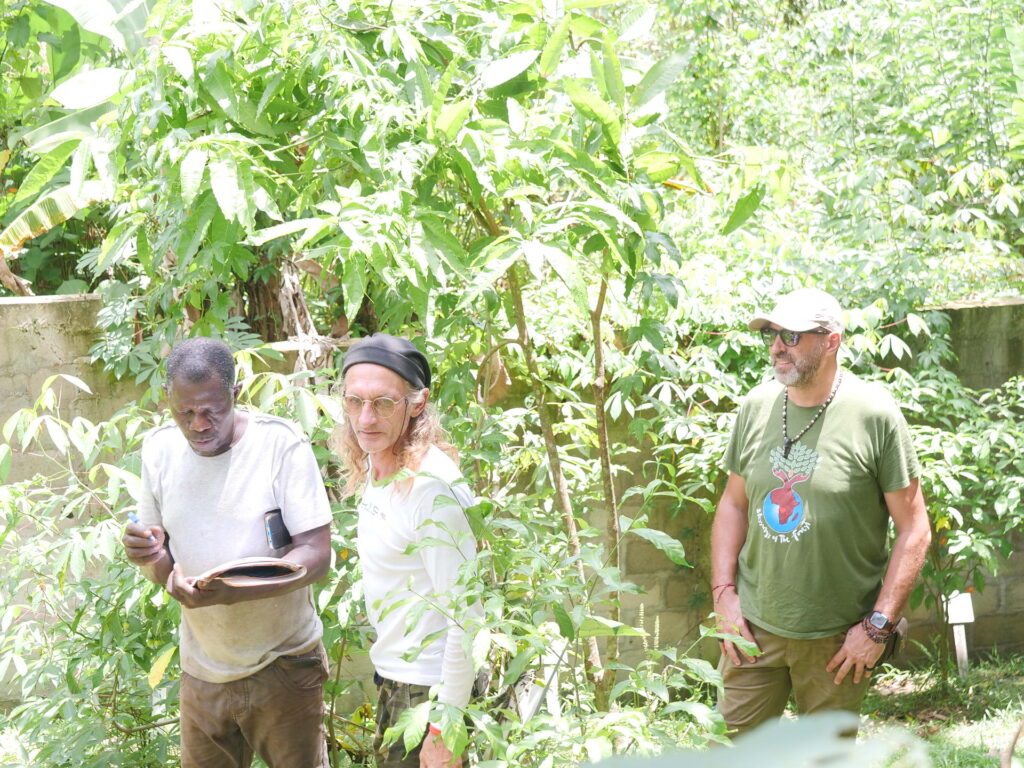 Comptage 2 : Issika : Okolassi 19 04 2023