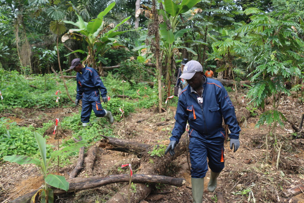 Comptage 5 : Ass. Cacum : Mandilou : 26 03 2022