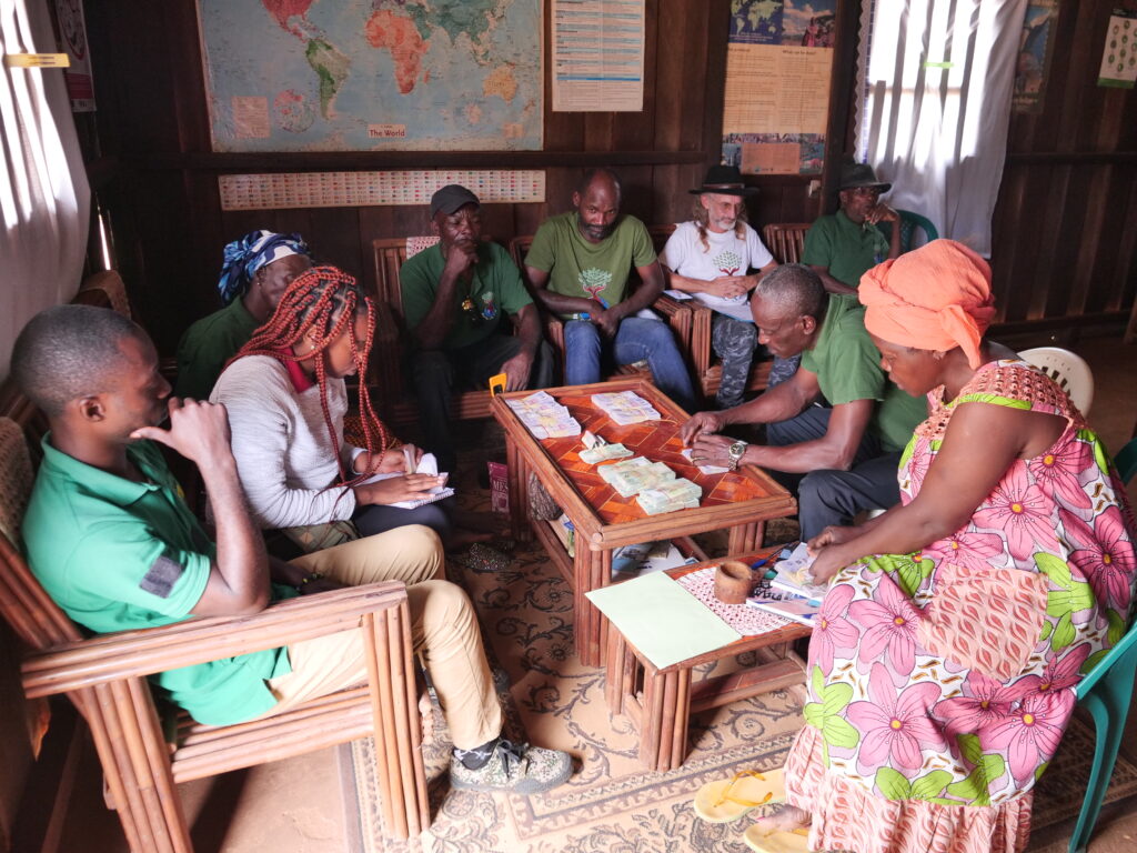 Comptage d'argent de 20 kg d'iboga de Terragnosis:A2E:Ebyeng:06 02 2025:.JPG