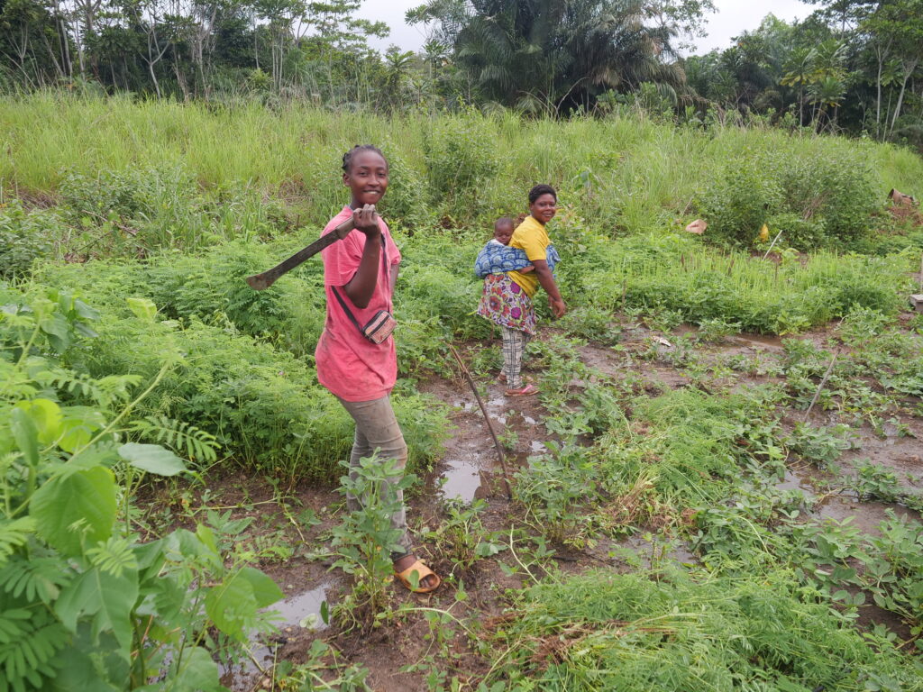 Cultivatrices d'arachides 1 :Diambu Ghamangu:Mamiengue:26 11 2024