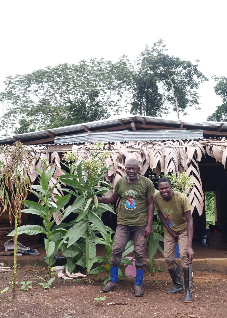 Hilarion Kassa Moussavou:Desty Moussavou Kombila:Mussinda-Mongo:Opeko:21 03 2025.