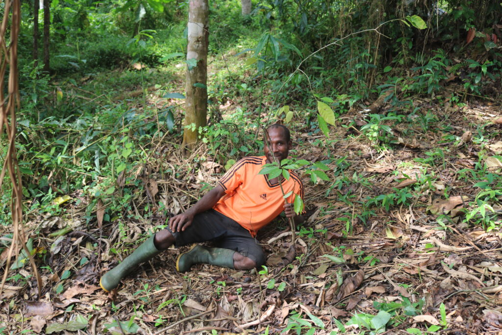 Membre Rene Mabondo:plantation d'iboga:Muyiku:25 03 2022:.