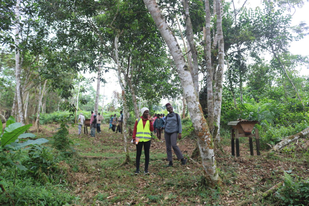 Membres Muyissi env:et Rene Mabondo:BOTF:visite plantation iboga et ruches:Muyiku:07 07 2022