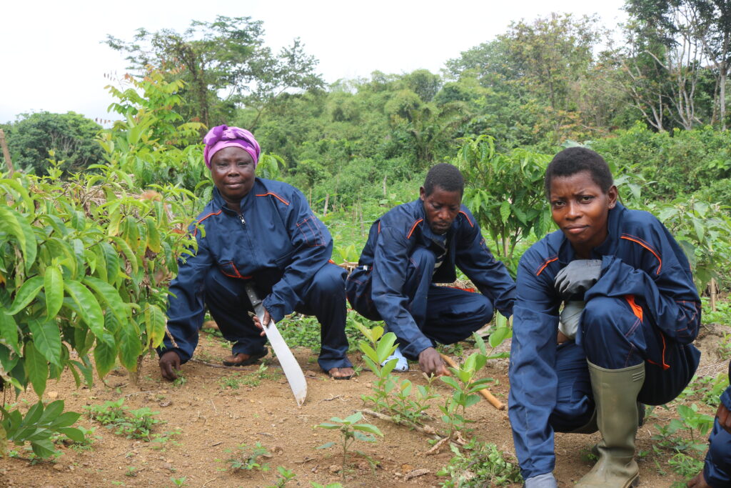 Membres Opango Motsi:plantation iboga:St Martin:23 03 2022