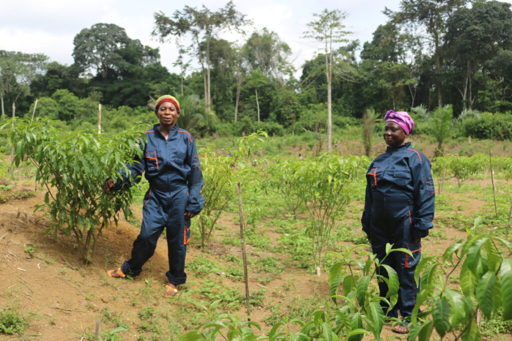 Membres Opango Motsi:plantation iboga:St Martin:23 03 2023