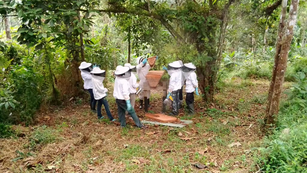 Membres Réné Mabondo:apiculteurs:Yann Quenet:formateur-apiculteur:Muyiku:19 02 2022