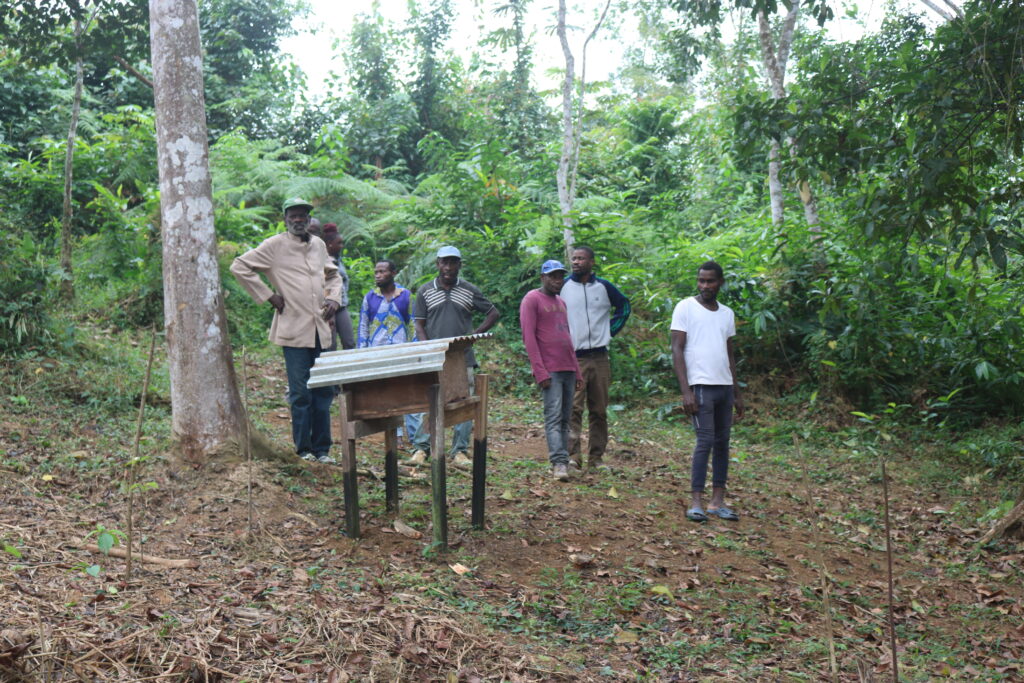 Membres actifs :René Mabondo:plantation d'iboga et ruche:Muyiku:07 07 2022