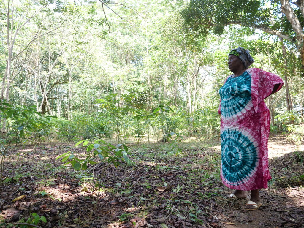 Mme Jeanne Bony:membre Cacum:plantation iboga:Mandilou:27 02 2025