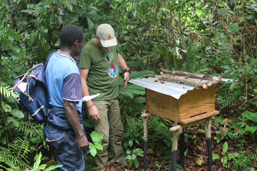 Ruche 3 : Opango Motsi : St Martin : 25 01 2023