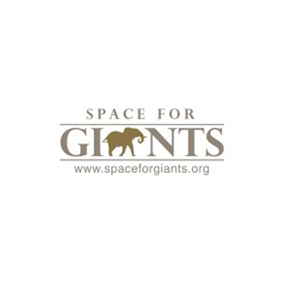 Space For giants logo