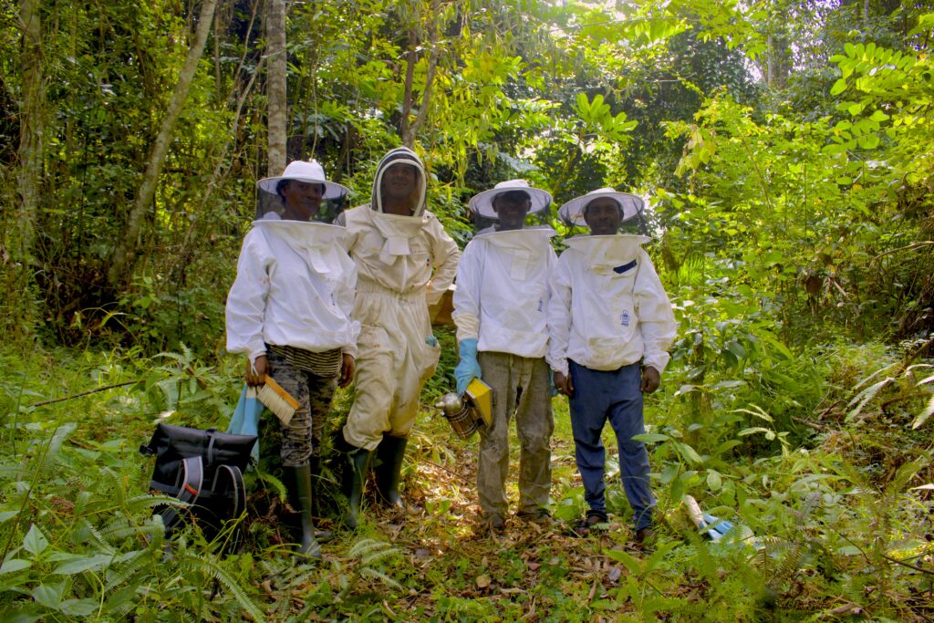 Yann Q-formateur:Asso Diambu Ghamangu:Mamienguè:27 05 2024