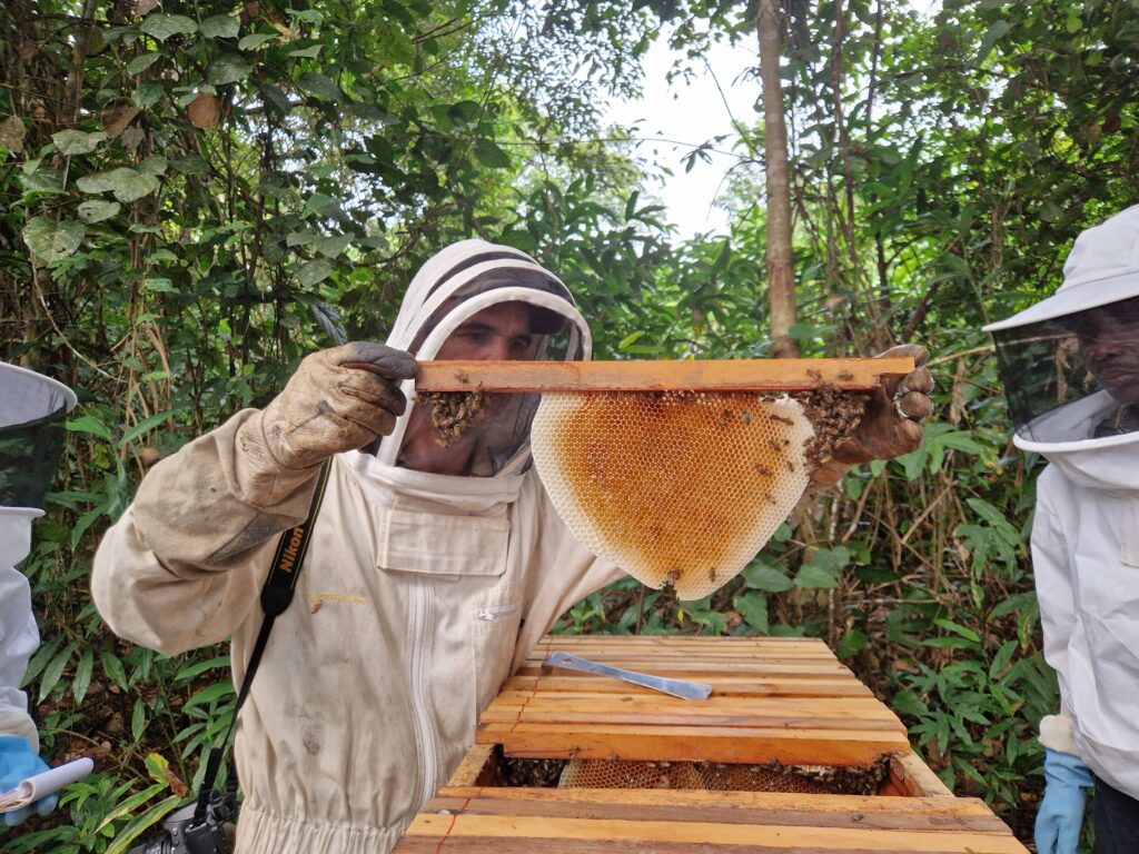 Yann Quénet:F-A:Opango Motsi:St Martin:30 05 2023