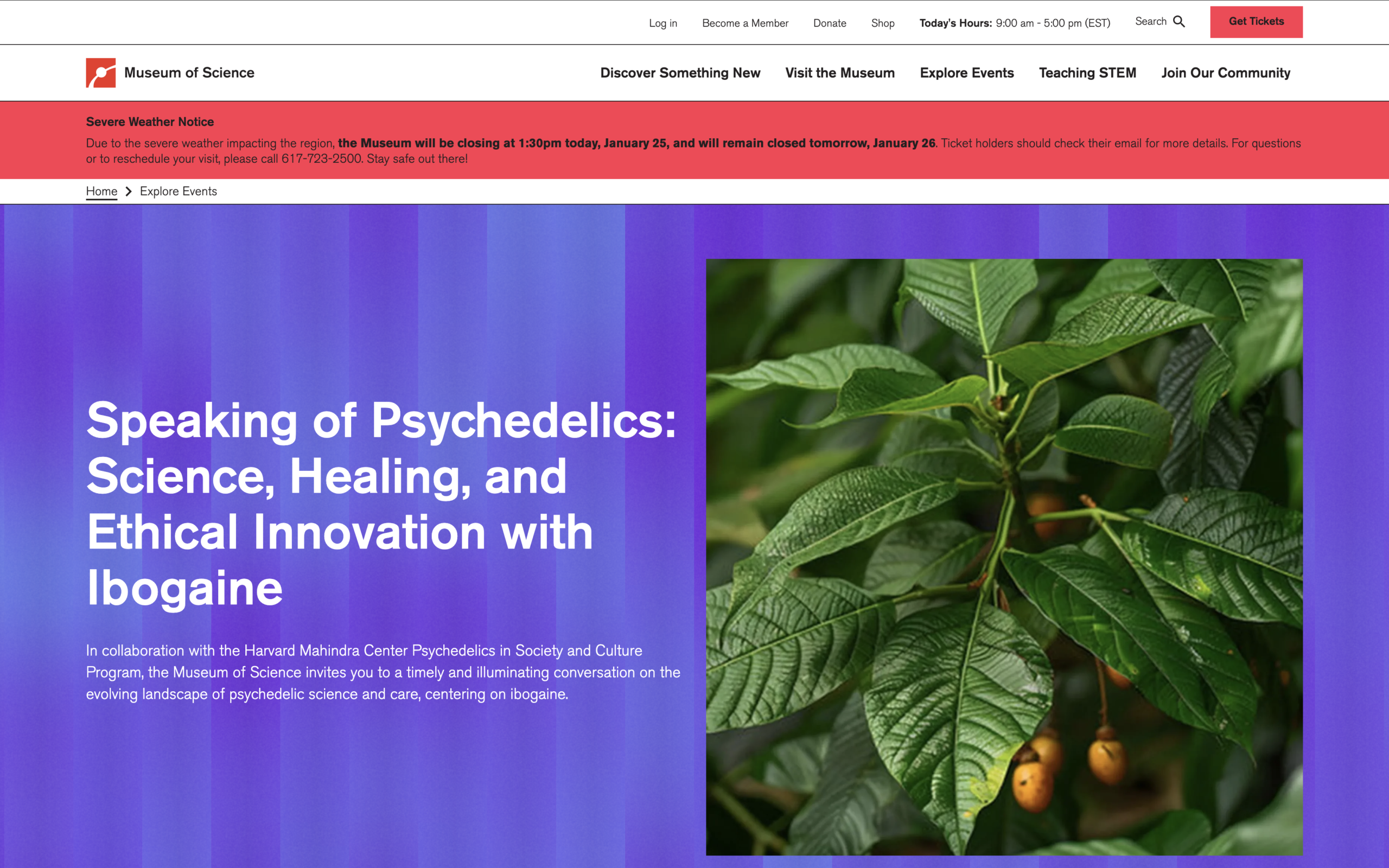 Speaking of Psychedelics: Science, Healing, and Ethical Innovation with Ibogaine In collaboration with the Harvard Mahindra Center Psychedelics in Society and Culture Program, the Museum of Science invites you to a timely and illuminating conversation on the evolving landscape of psychedelic science and care, centering on ibogaine.