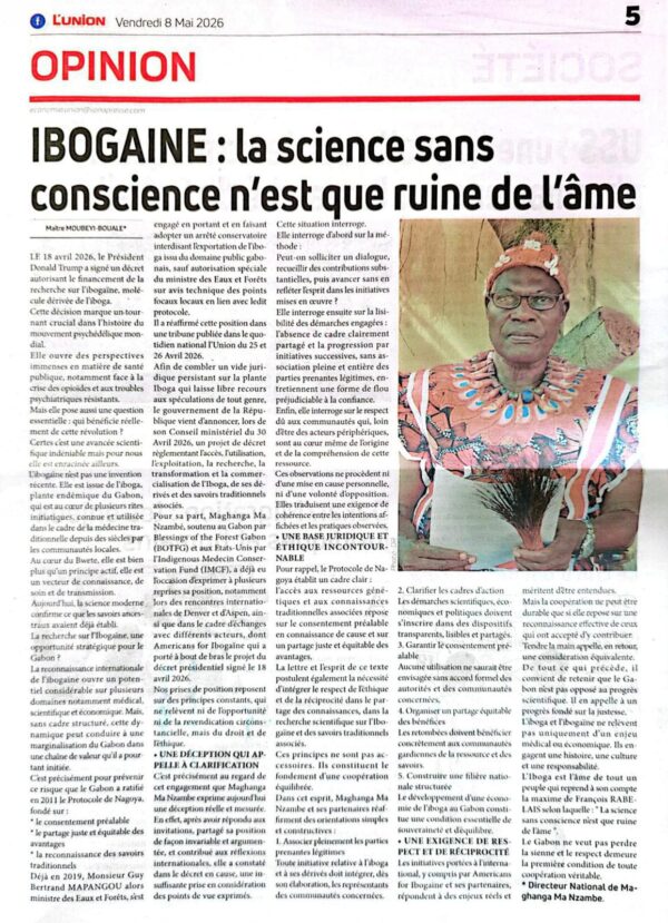 Article de presse sur l’ibogaïne, la recherche psychédélique et la protection des savoirs traditionnels du Gabon. Newspaper article about ibogaine research, psychedelic science, and the protection of Gabonese traditional knowledge