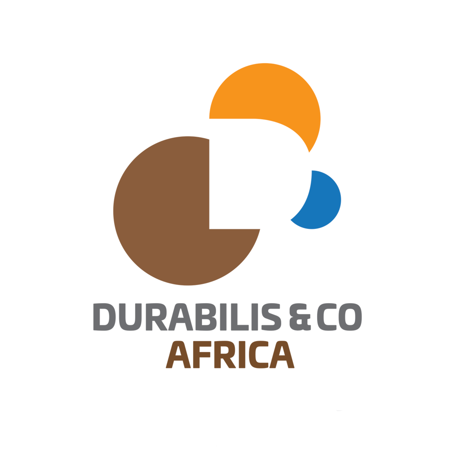 Logo de Durabilis & Co Africa, entreprise spécialisée en data intelligence, transformation digitale et projets à impact durable en Afrique
