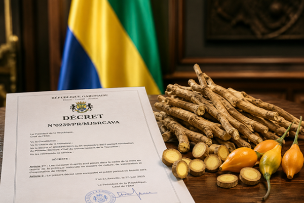 Une représentation de l’iboga, plante sacrée et médicinale du Gabon, illustrant les enjeux de souveraineté, de biodiversité et de patrimoine culturel africain. / A representation of iboga, Gabon’s sacred and medicinal plant, highlighting issues of sovereignty, biodiversity, and African cultural heritage.