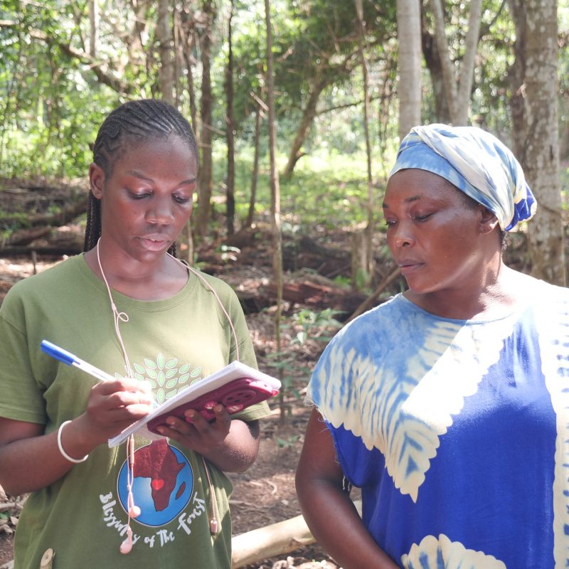 Conservation & Iboga (Nagoya) Objective Protect iboga, Gabon’s sacred natural and cultural resource, against poaching and biopiracy, while establishing legal and fair trade channels. Blessings Of The Forest Conservation & Iboga (Nagoya) Objective Protect iboga, Gabon’s sacred natural and cultural resource, against poaching and biopiracy, while establishing legal and fair trade channels. Blessings Of The Forest
